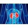 adrenal energy formula - ADRENAL SUPPORT - energy supplements for elderly 3B