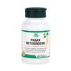 Panax Notoginseng Tablet - Healthy Circulatory System