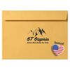 American War Helmets - 12" Vinyl Sticker Waterproof Decal