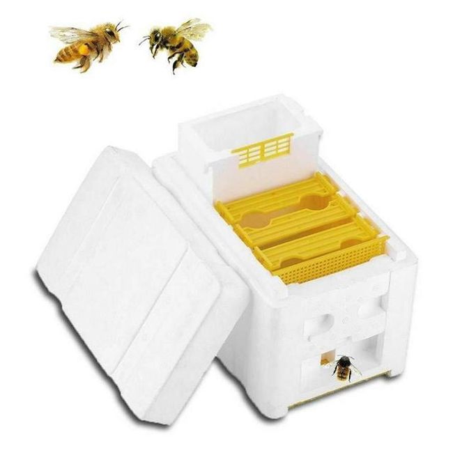 Beekeeping materials beehive queen bee breeding box bee mating box foam bee hive box garden pollination case equipment, 02 B, B