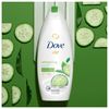 Dove Refreshing Body Wash Revitalizes and Refreshes Skin Cucumber and Green Tea Effectively Washes Away Bacteria While Nourishing Your Skin, 22 oz
