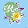 Secret Antiperspirant/Deodorant - Cool Waterlily - Clear Gel - Net Wt. 2.6 OZ (73 g) Per Stick - Pack of 3 Sticks