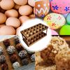Wooden Double Layer Egg Holder, Egg Container Rack Countertop, Stackable Storage Trays Organizer, Space Saving Tray Basket For Kitchen Organization