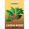 Sachet Powder in Envelope Sandalwood