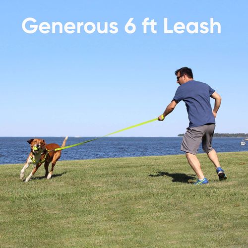 Pawtitas 6 FT Pet Puppy Leash Reflective Dog Leash Comfortable Handle Highly Reflective Threads Heavy Duty Dog Training Leash Available as a 6 ft Small Dog Camo Pink Leash