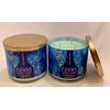 2 Berry Spritzer Scented Candle White Barn 14.5 oz