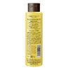 Oshima Camellia Excellent Shampoo 10.1 fl oz (300 ml), Camellia Oil, Aging Care, Volume Up, Gentle on the Scalp