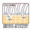 Kumanofude Facial Brush