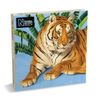 Natural History Museum Tiger & Leopard 8 Square Notecards Wallet