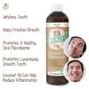 Doctor Ginger's Coconut Oil Teeth Whitening 3pc Bundle, All-Natural Toothpaste (4oz), Mouthwash (14fl oz) & Whitening Pen (.35oz), Pearly White Oral Care & Enamel-Safe for Fresh Breath, Coconut Mint