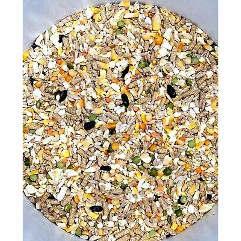 Chicken Rooster Game Bird Feed 15 OZ Scratch Grain Pellet Oyster Shell ...