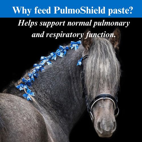 SU-PER PulmoShield Paste for Respiratory Support - Supports Healthy Lung Function in Horses - Horse Vitamins & Minerals - 30CC, (2 Pack)