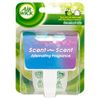 Air Wick Scent After Scent Liquid Electrical One Plug (Pack of 2 plug units)