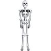 ZH-SKEL6 Party Supplies, 6 ft, White, black