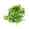 Mint Leaves / Fresh - 0.75oz bag