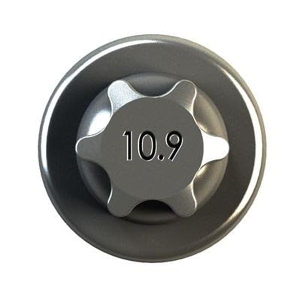 Ipsa COB00500 Connecting Rod Screw