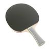 Nittaku NE6990 Hariawase Set Reeves/Jamin
