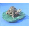 KFK Turtle on Lily Pad