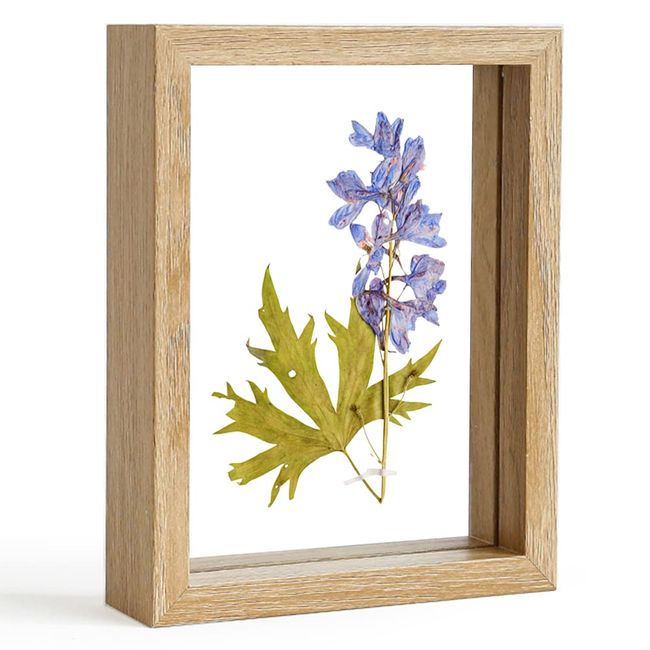 Photo Frame, Postcard Size, Double-Sided, Glass, Antique, Natural, Stylish, Pressed Flowers, Gift, Present, Scandinavian Woodgrain, Wooden Frame, Specimen Stand (Pressed Flowers in the Frame are