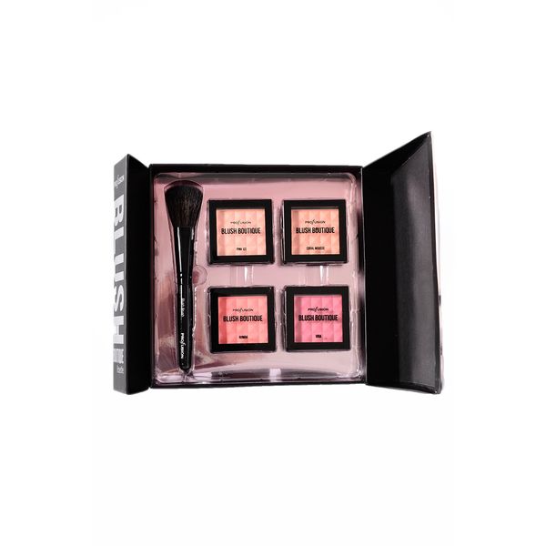Profusion blush boutique rosette palette with a blush brush and 4 blushes