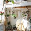 20 Heavy Duty Drop Ceiling Hooks, T-Bar Ceiling Clips for Hanging Plants, Lights