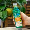 Westland Citrus Tree Feed Concentrate, 200 ml