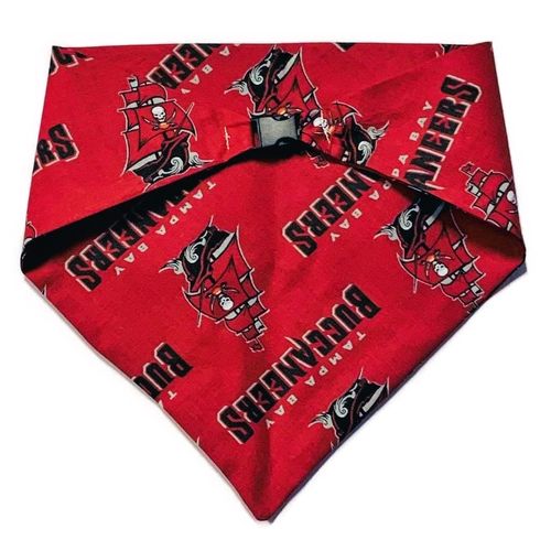 Tampa Football Dog Bandana