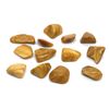 Yellow Jasper Crystal Tumbled Stone Small - 5 Pc
