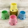 Youngs Spring Decor - Ceramic Pastel Reversible Tealight Votive 4pc