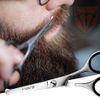 3 Swords Germany – professional NOSTRIL NOSE and EAR HAIR SCISSORS, stainless steel, straight blade rounded tip with black case