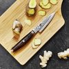 Miyabi Paring Knife, Stainless Steel, 3.5-inch