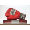 BOXING GLOVE DISPLAY CASE