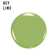 Max Factor Masterpiece Xpress Oasis Collection Nail Polish 590 Key Lime