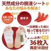 78629 Sap Sheet Legs Clean, 36 Sheets (18 Pairs)