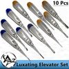 10 PCS Straight & Curved Dental Surgery Extraction Luxating Elevators 1.5mm-5mm