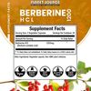 Planet Source Berberine HCl 1200 Mg per Serving 60 Capsules