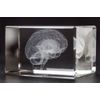 Brain 3D Laser 1lb Crystal with Brain Sticky Notepad, Anatomy, Neurology, Mind
