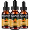 (3 Pack) Glucoflush Liquid Drops - Healthy Blood Sugar Support Advanced Formula
