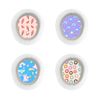 G7/ ONE+ Sensor Sticker (Rainbows Collection) 4pk