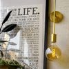 Dimmable Edison Bulb LED E26 Spiral (BIG GLOBE Gold) Edison Bulb LED Retro Bare Bulb