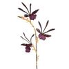 Artificial Zygopetalum orchid stem  254264