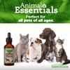 Animal Essentials Detox/Allergy Blend 2 oz