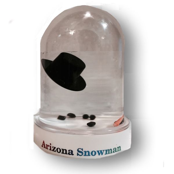 Snowglobe Original Melted Snowman Snow Globe Travel Souvenir Gift (Arizona)