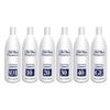 Da Vinci Permanent Hair Color Developer_30Vol_34oz