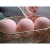 Spa Pure BLACKRASPBERRYVANILLA Bath Bombs: Fizzies, 5 oz large, Ultra-Moisturizing, Natural, made with Shea, Mango and Cocoa Butter