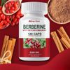 5000mg Berberine HCl - High Potency Berberine Supplement - Blood Sugar Support