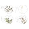押花 Coaster Set of 4 