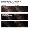 L'Oreal Preference Hair Color - Soft Black