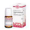 Syzygium jambolanum D4 DHU Tabletten, 80 St. Tabletten