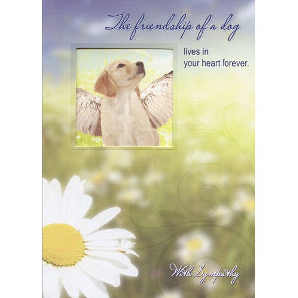 Dog with Wings Die Cut Window Designer Greetings Pet Sympathy Card